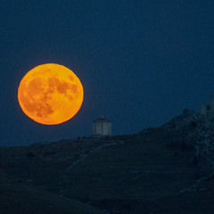harvest moon