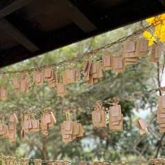 Pray(祈り)