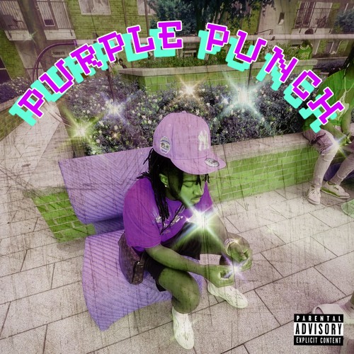 Purple punch (P. Swiftfox)