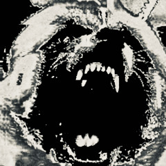 take care of you (p. bailey daniel)