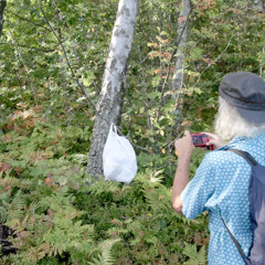 Det var inte såhär det skulle bli/ ur serien SKRÄPKÖREN