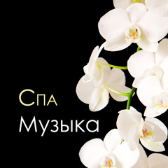 Звуки Природы