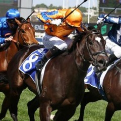Punter's Preamble - 2024 Lightning Stakes Day