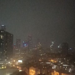 fluttering with the sheep (instrumental)