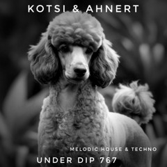 Kotsi & Ahnert UNDER DIP Ep. 767 Melodic House & Techno (122bpm)