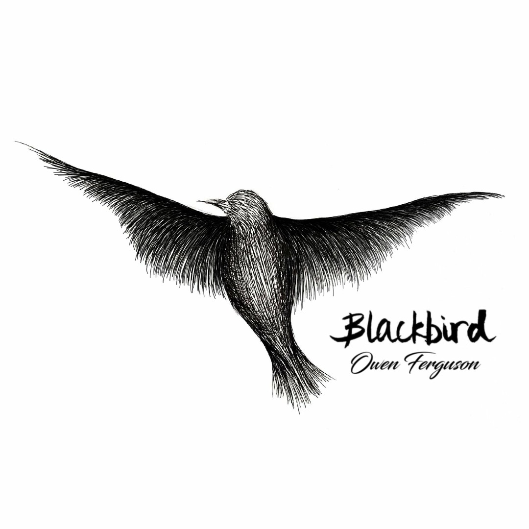 Stream Blackbird (Beatles Cover) by Owen Ferguson | Listen online