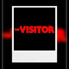The Visitor Mix