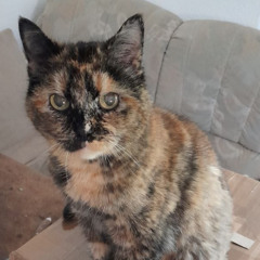 Lee_Miller -  Schlachthof Session 23.07.25