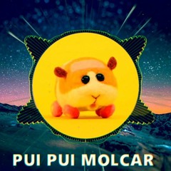 Music tracks, songs, playlists tagged PUIPUIモルカー on SoundCloud