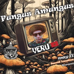 Yeru - Fungus Amungus Experience - Morocco