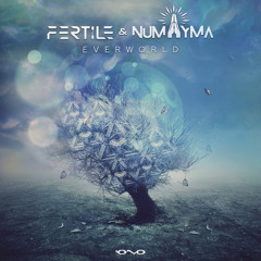 Fertile, Numayma - Everworld (Original Mix)