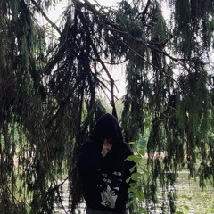 увезли в лес на расчленение (cl6udly)