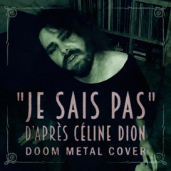 Je sais pas (Céline Dion cover)