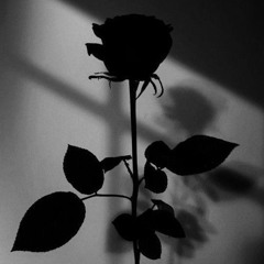 Cuore rotto