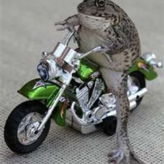 257