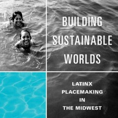 Dr. Fernandez-Jones, MexiRican Placemaking in Grand Rapids, Michigan