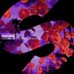 Redondo - Feeling Good (feat. Shayee) [OUT NOW]