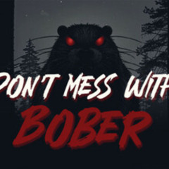 Dont Mess With Bober - OST