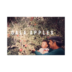 Gala Apples (Prod. by Sypooda)