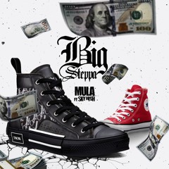 Big Steppa- Ft SkyHigh