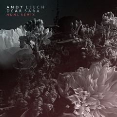 Andy Leech - Dear Sara... (NDNL Alternative Remix)