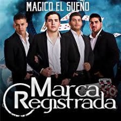 El Comerciante Grupo Marca Registrada