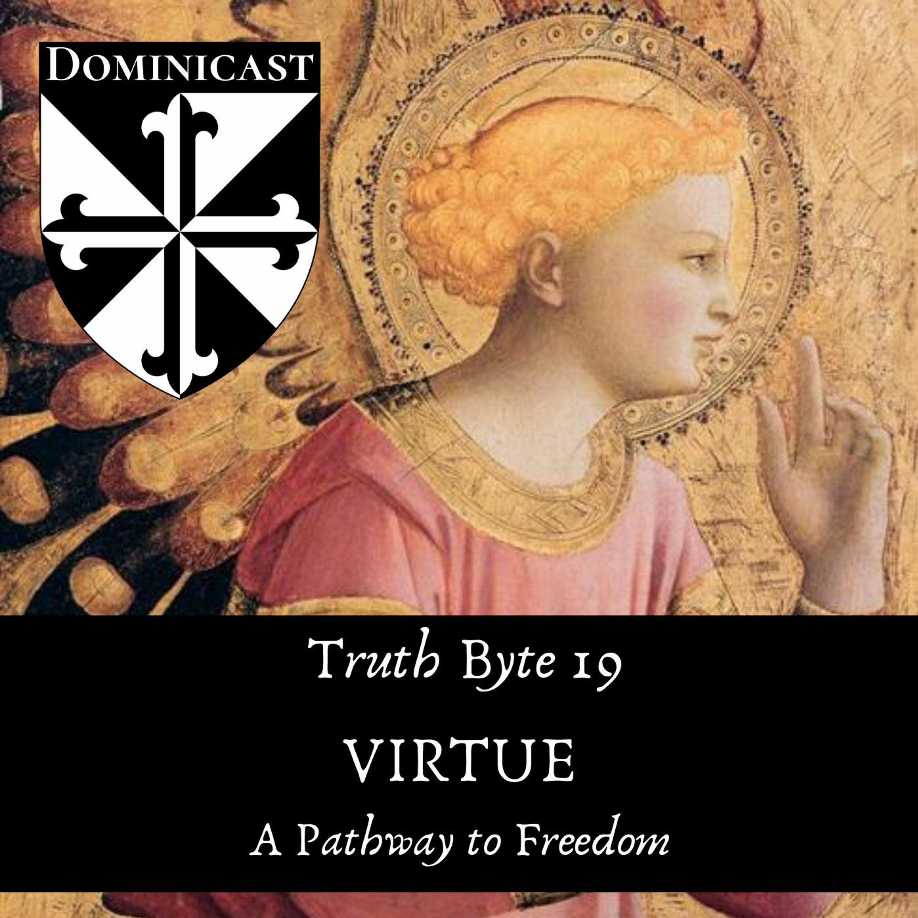 Virtue: A Pathway to Freedom - Truth Byte 19