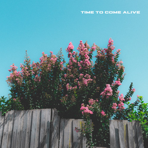 Time to Come Alive