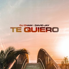 Dj Cham x David Jay - Te Quiero