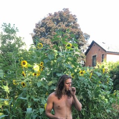 Trapping with the SunFlowers