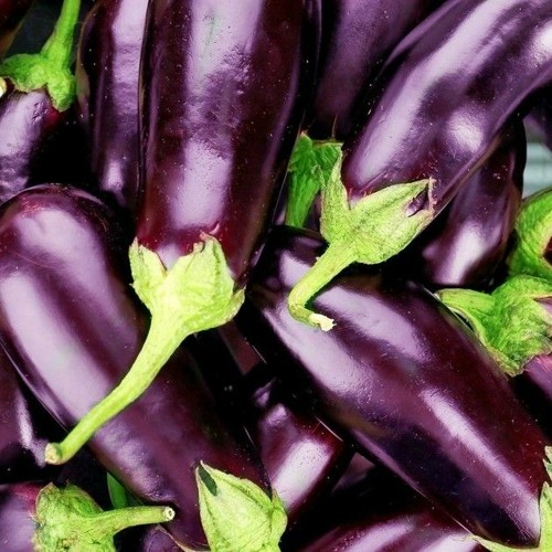 Jealous - Sympton × Collective