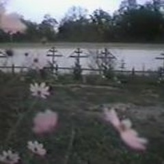cemetery w/ dollreal & lavendr [p6inkillr]