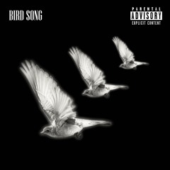 BIRD SONG