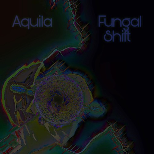 Fungal Shift (Noita Tribute)