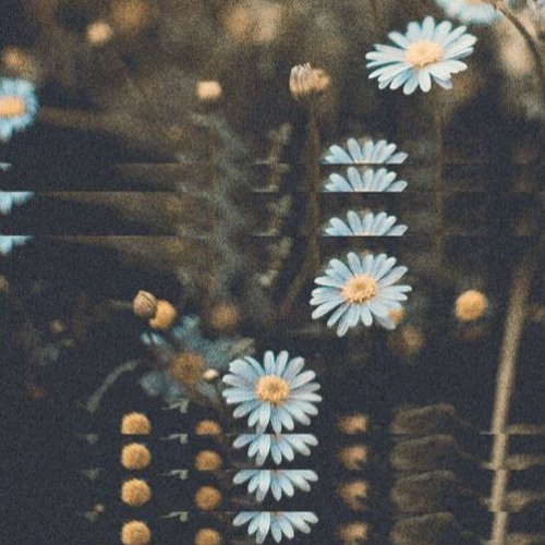 Sundays are for... [Jun/23]