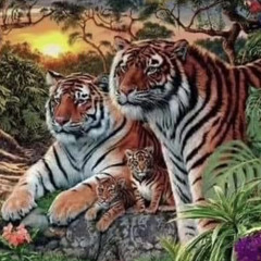 glückli prod. cyrus