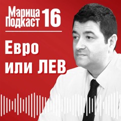 Говори финансовият анализатор Васил Кендов