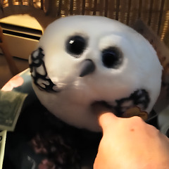 It's Him It's Him It's Him!