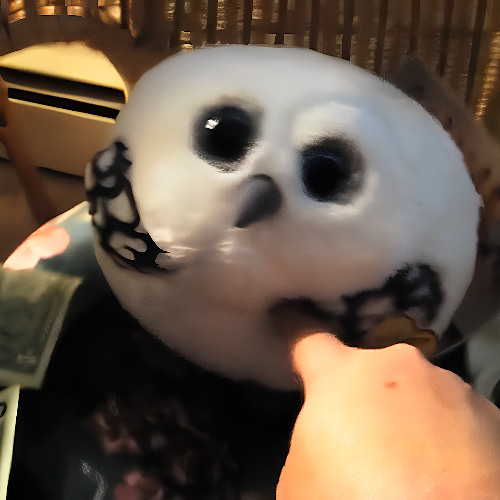 It's Him It's Him It's Him!