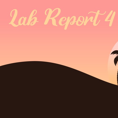 Syari Da Kid - Never Write Always Right [Lab Report 4]