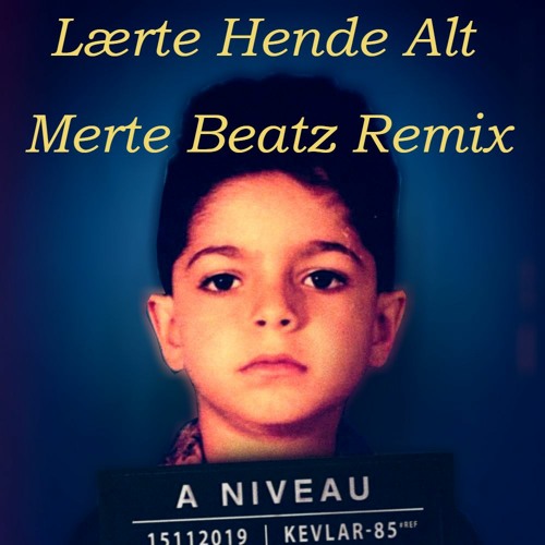 Atypisk - Lærte Hende Alt (MERTEBEATZ REMIX)
