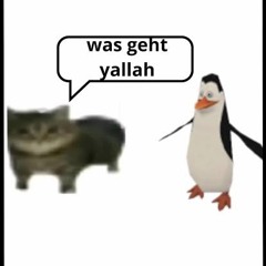 YALLAH WAS GEHT.wav / Feat. Triple P
