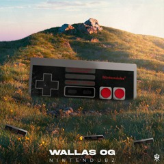 Nintendubz
