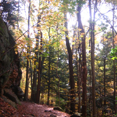 october beatleech 𓇢𓆸 feat. zjay & sinefelt