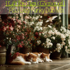 Life Is Good ( PDJ Lazy Funk Dub Mix Edited)