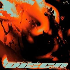 BURN DOWN THE DISCO (Instrumental)