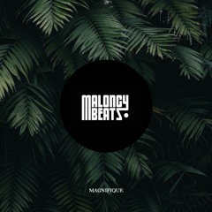 MaloncyBeatz - Magnifique