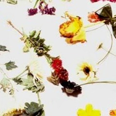 AIR (HXF'S TAXI PLZ MIX)