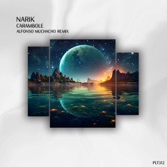 Premiere: Narik - Carambole (Alfonso Muchacho Remix) [Polyptych]