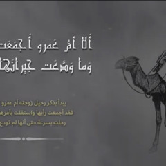 ‎⁨ألا أم عمرو أجمعت فاستقلت_ للشنفرى أسامة النهاري  #ملحنة⁩.m4a